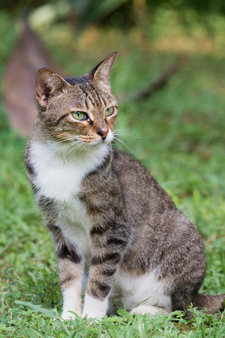 DSC_5706.jpg